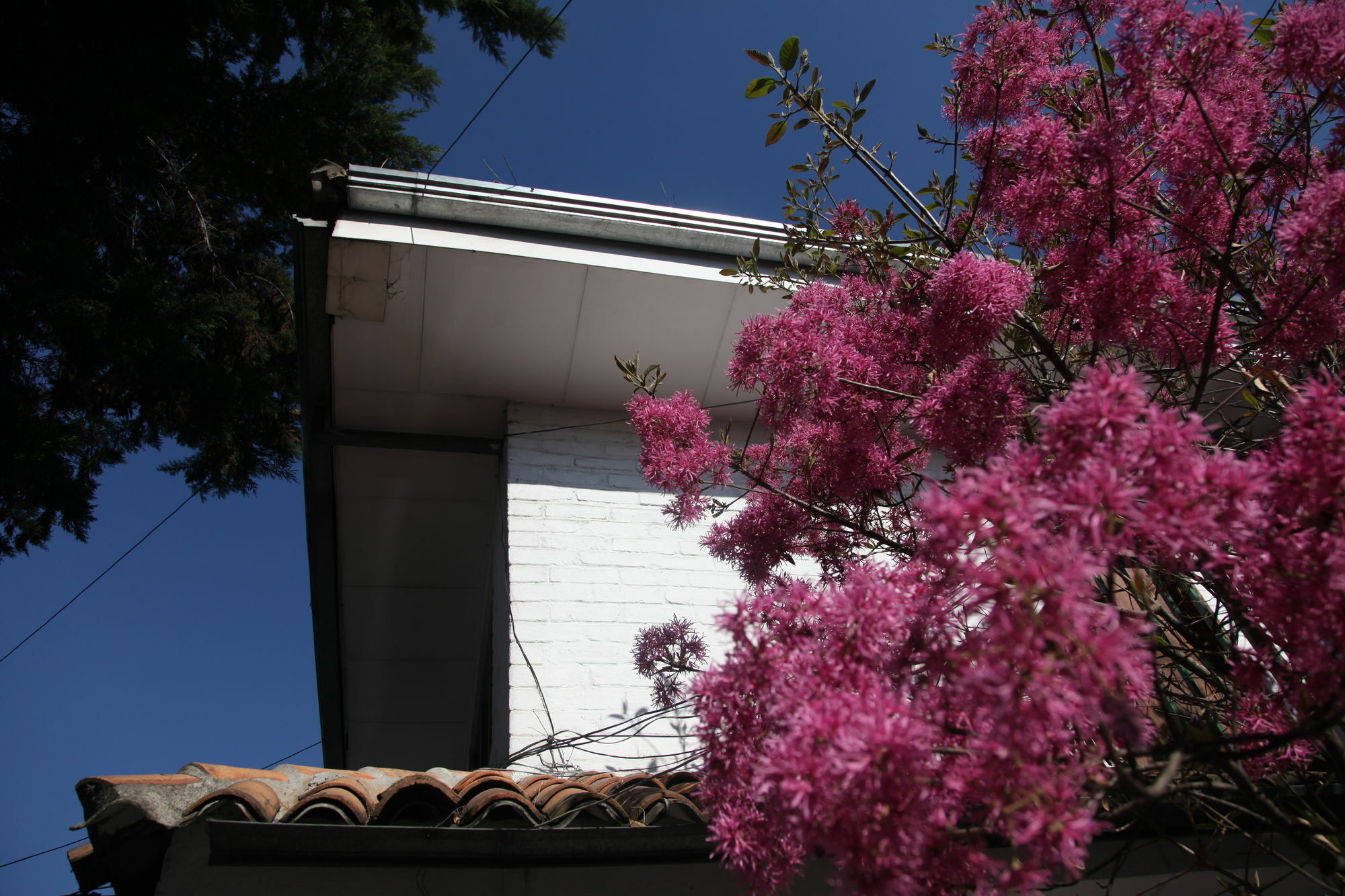 Apartamentos Otorongo Cuenca Ecuador Exterior foto